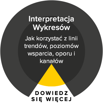 interpretacja wykresów