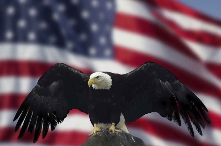 SEC (United States Securities and Exchange Commission)