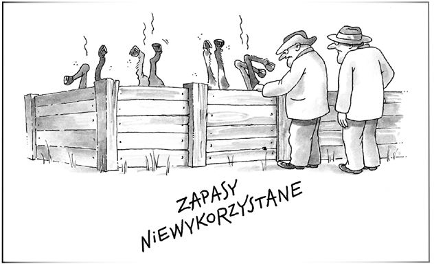Zapasy niewykorzystane