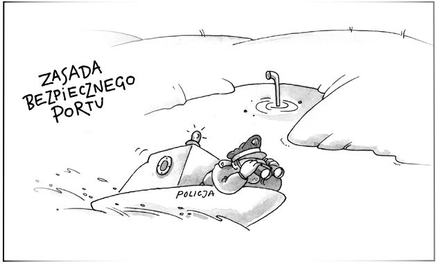 Zasada bezpiecznego portu