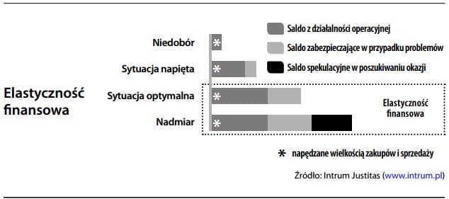 Elastyczność finansowa