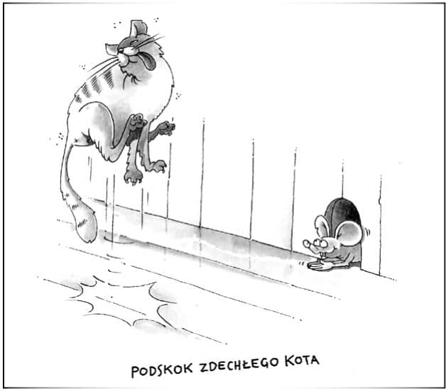 Podskok zdechłego kota