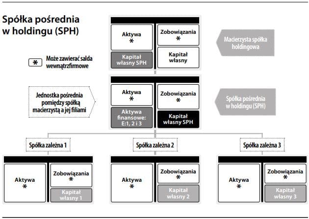 Spółka pośrednia w holdingu